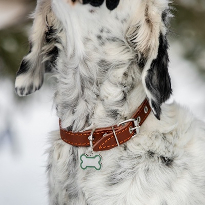 Адресник под гравировку «Косточка», 3.2×2.3 см, объёмный, металл, зелёный
