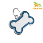 Адресник под гравировку "Косточка" объёмная, 3,2 х 2,3 см, синий - Фото 1