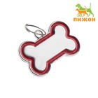 Адресник под гравировку "Косточка" объёмная, 3,2 х 2,3 см, красный - Фото 1