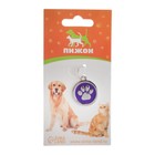 Адресник под гравировку "Лапа", 2,5 см, фиолетовый - Фото 3