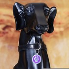 Адресник под гравировку "Лапа", 2,5 см, фиолетовый - Фото 4