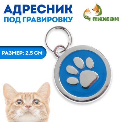 Адресник под гравировку «Лапа», 2.5 см, металл, голубой