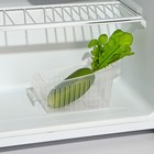 Контейнер для холодильника Доляна, 16,5×7×9 см, цвет прозрачный - фото 318756679