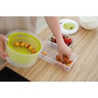 Контейнер для холодильника Доляна, 16,5×7×9 см, цвет прозрачный - фото 25269564