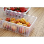 Контейнер для холодильника Доляна, 16,5×7×9 см, цвет прозрачный - фото 25269565