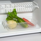 Контейнер для холодильника Доляна, 29,5×13×7 см, цвет прозрачный - Фото 1