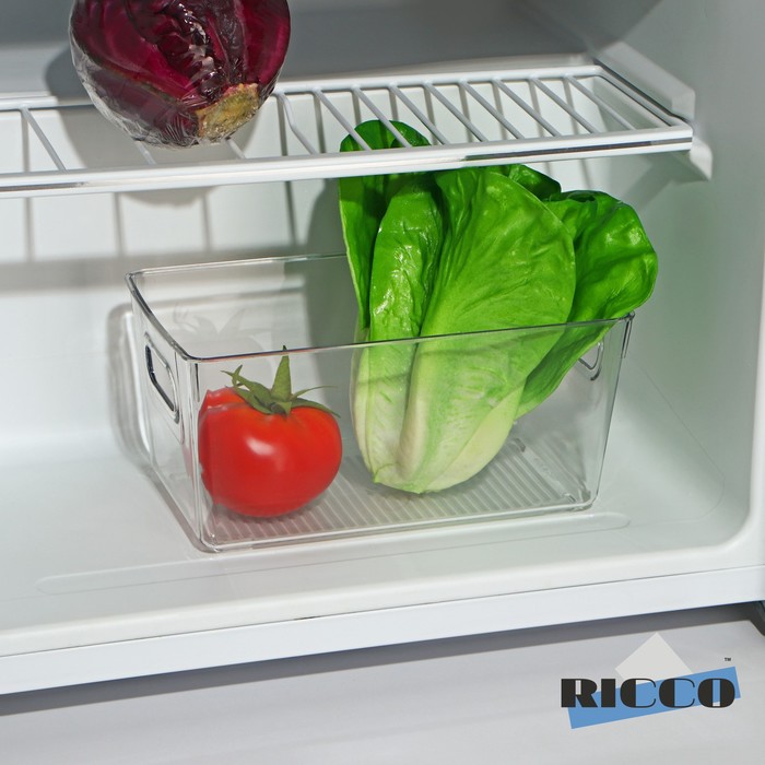Контейнер для холодильника RICCO, 23,5×13×11 см - Фото 1