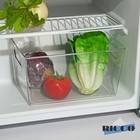 Контейнер для холодильника RICCO, 29×20,5×15,5 см - фото 318756694