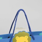 Пакет подарочный, упаковка, «Львёнок в кармашке», 30 х 11 х 24 см - фото 42119731