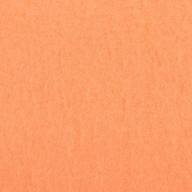 

Плед "Экономь и Я" Коралловый 150*130 см, пл.160 г/м2, 100% п/э