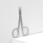 Ножницы маникюрные «Ты совершенна!», загнутые, узкие, 9 см, цвет серебристый - Фото 2