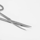 Ножницы маникюрные «Ты совершенна!», загнутые, узкие, 9 см, цвет серебристый - Фото 3