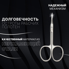 Ножницы маникюрные «Premium», для кутикулы, загнутые, узкие, 9 см, на блистере, цвет серебристый - фото 6530234
