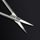 Ножницы маникюрные «Premium», загнутые, узкие, 9 см, на блистере, цвет серебристый - Фото 10