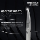 Ножницы маникюрные «Premium», загнутые, узкие, 9 см, на блистере, цвет серебристый - фото 7614161