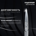 Ножницы маникюрные «Premium», загнутые, широкие, 9,3 см, на блистере, цвет серебристый - фото 8945929