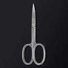 Ножницы маникюрные «Premium», загнутые, широкие, 9,3 см, на блистере, цвет серебристый - фото 7152138