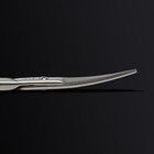Ножницы маникюрные «Premium», загнутые, узкие, 10,5 см, на блистере, цвет серебристый - Фото 8