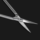 Ножницы маникюрные «Premium», загнутые, узкие, 10,5 см, на блистере, цвет серебристый - фото 9114763