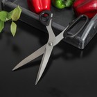 Ножницы кухонные Доляна «Триндеро», цвет чёрный - Фото 1