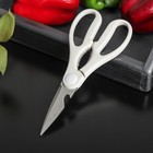 Ножницы кухонные Доляна «Ринго», цвет МИКС - фото 318757127