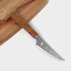 Набор для подачи сыра Magistro Shape, нож, доска, акация - Фото 4