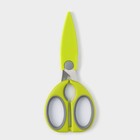 Ножницы кухонные Доляна «Эльба», 22 см, цвет зелёный - фото 4342997