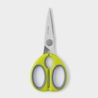Ножницы кухонные Доляна «Эльба», 22 см, цвет зелёный - фото 4342999