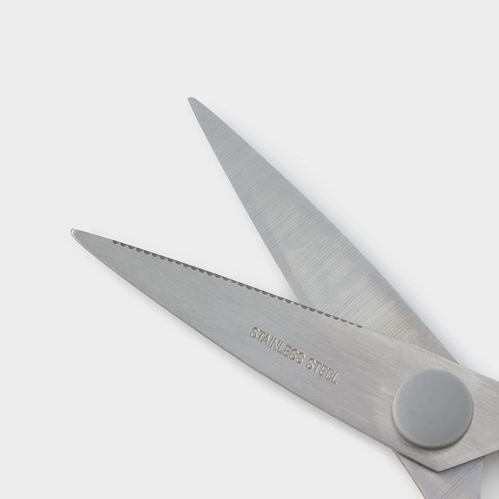 Ножницы кухонные Доляна «Эльба», 22 см, цвет зелёный - фото 1882334944