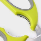 Ножницы кухонные Доляна «Эльба», 22 см, цвет зелёный - фото 4343003