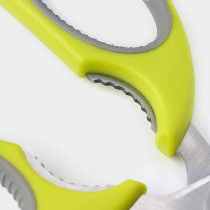 Ножницы кухонные Доляна «Эльба», 22 см, цвет зелёный - фото 1911672668