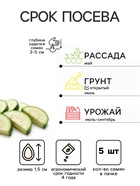 Семена Кабачок «Кавили», F1, 5 шт., «Агроуспех» - Фото 2