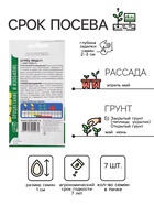 Семена огурец "Маша F1", 7 шт. - Фото 2