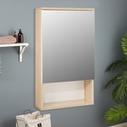 Зеркало-шкаф для ванной комнаты "Вена 45" белый/сонома, 45 х 70 х 13,6 см - фото 318757286