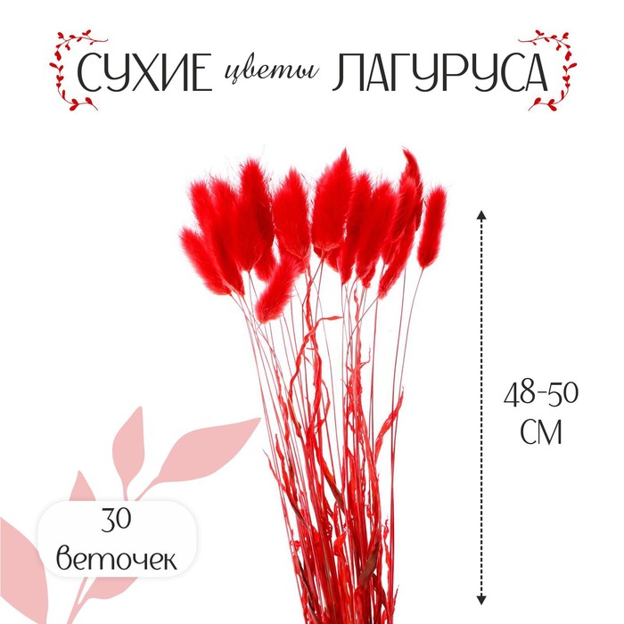 Сухие цветы лагуруса, набор 30 шт., цвет красный - Фото 1