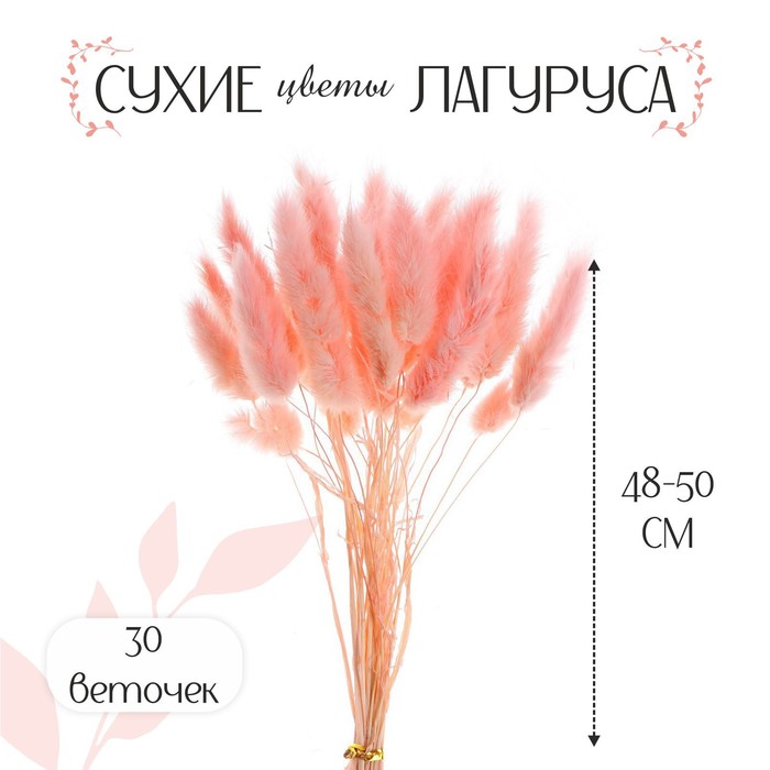 Сухие цветы лагуруса, набор 30 шт., цвет розовый - Фото 1