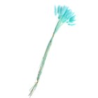 Сухоцветы «Лагурус», набор 30 шт., цвет голубой - Фото 2