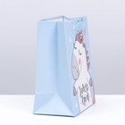 Пакет подарочный, упаковка, Miss U, 20 х 16 х 8 см (комплект 4 шт) - фото 21466721