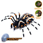 Паук радиоуправляемый «Тарантул», эффект дыма, световые эффекты, работает от аккумулятора - Фото 1