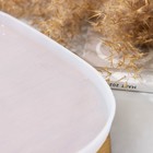 Молд для эпоксидной смолы «Кит», силикон, 29.5×20×1 см, цвет прозрачный 7315608 Молд для эпоксидной смолы «Кит», силикон, 29.5×20×1 см, цвет прозрачный 7315608