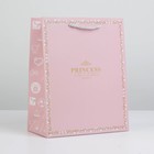 Пакет подарочный, упаковка, «Нежная принцесса», 20 х 15 х 7 см - фото 318758125