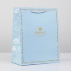 Пакет подарочный, упаковка, «Прекрасный принц», 20 х 15 х 7 см - фото 318758133