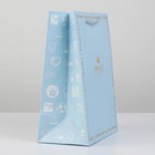 Пакет подарочный, упаковка, «Прекрасный принц», 26 х 21 х 11 см 7435424