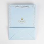 Пакет подарочный, упаковка, «Прекрасный принц», 26 х 21 х 11 см 7435424