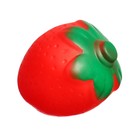 Набор резиновых игрушек для ванны «Фрукты», с пищалкой, 6 шт, Крошка Я - фото 24285968