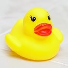 Игрушка для ванны «Водная горка», 9 деталей, 4 игрушки, на присосках - Фото 3