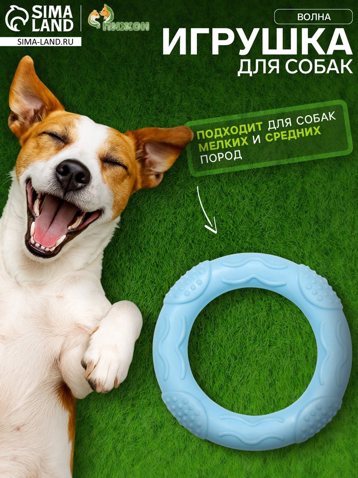 Жевательная игрушка дял собак «Волна», 7×1 см, TPR, голубая