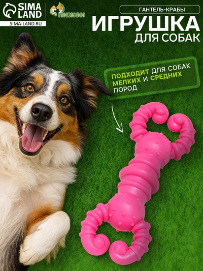 Резиновая игрушка для собак «Гантель-крабы», 11.5×2 см, TPR, розовая