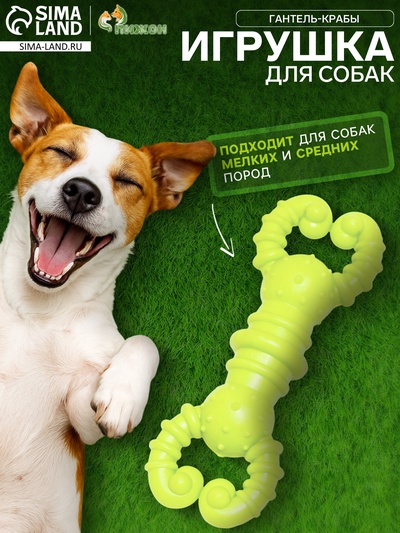 Резиновая игрушка для собак «Гантель-крабы», 11.5×2 см, TPR, жёлтая