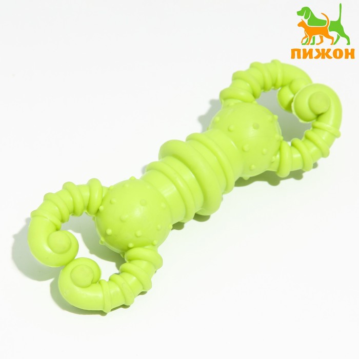 Игрушка для собак резиновая "Гантель-крабы", TPR, 11.5 х 2 см, жёлтая - Фото 1